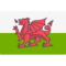 Wales U19 logo