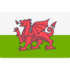Wales U19 logo
