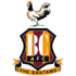 Bradford City logo