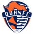 Qingdao Hainiu logo