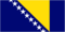 Bosnia and Herzegovina logo