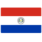 Paraguay logo
