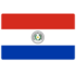 Paraguay logo