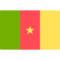 Cameroon logo