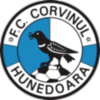 Corvinul Hunedoara