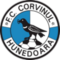 Corvinul Hunedoara logo