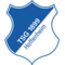 Hoffenheim logo