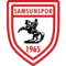 Samsunspor logo