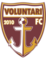 Voluntari logo