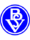 Bremer SV