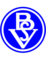 Bremer SV logo
