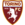 Torino logo