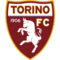 Torino logo