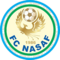 Nasaf logo