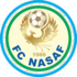 Nasaf logo