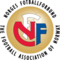 Norway U19 logo