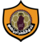 Qatar SC logo
