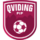 Qviding