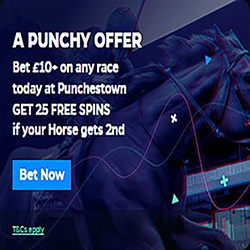 Rhino bonuses & promotions