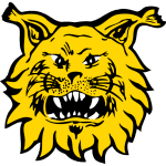 FC Ilves